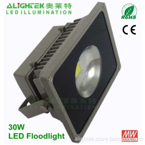 30w Led Flood Light Projector